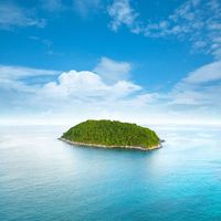 揪島