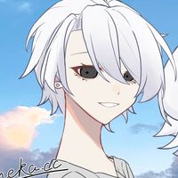 白鸽侦探