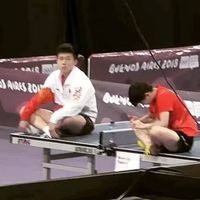 莎頭甜文