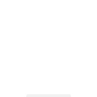 字竹