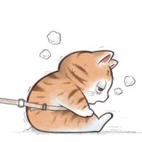 憨憨健身馆老板