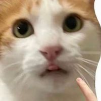 半现代化半古代化