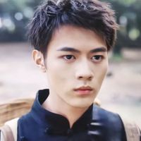 藏海花張九日