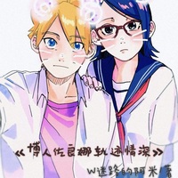 博人佐良娜轨迹情深