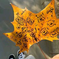 初一上篇