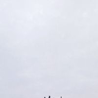 迷雾规则怪谈