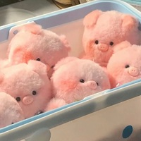 枕玉