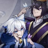 灰猫喜