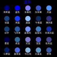 Algodoo蓝队