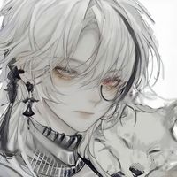 本人只是一個初中學(xué)生