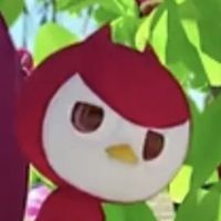 微霍克