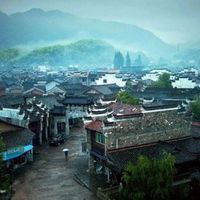 白树慕鬼墨