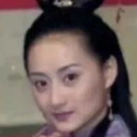 女诸葛张幻琴