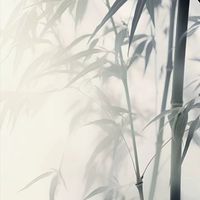 玄陰之旅