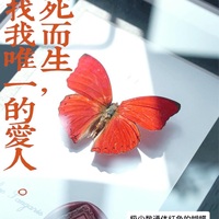 花蝶症