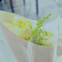 颠婆写的不喜勿喷