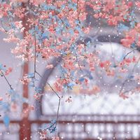 婧染棠