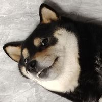 卡泉