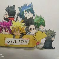 溫柔首領