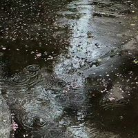 独眼一之濑宝太郎
