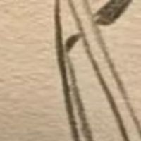 主观回答