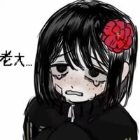 是幫寫(xiě)文的
