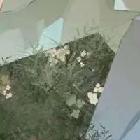 苏俄cb