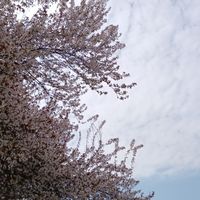 自由与向往