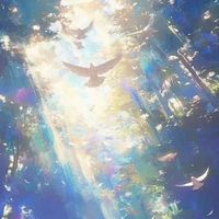 其他设定