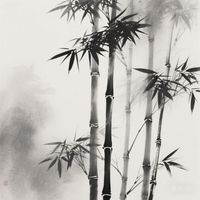 洛竹思安