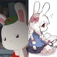 兔子X冰露