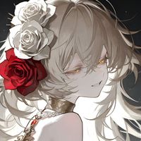 有时候多视角
