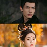 韶华若锦