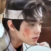 原創(chuàng)女主x汪藏海