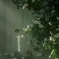 歸零之約