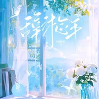 辞沐念年