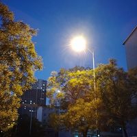 我会抽出时间更文的