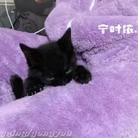 宁时依的随笔日记