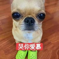林遇