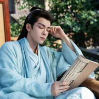 臨江仙白九思