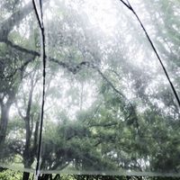 清染CP