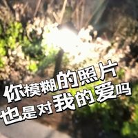 我的三年浪费在了哪里