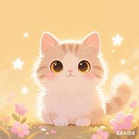 小猫视角