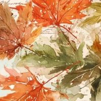 真实暗恋故事
