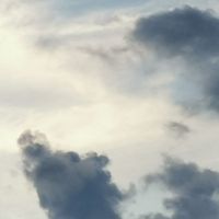 都市悬疑办案