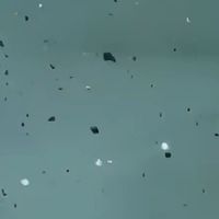 水象星座