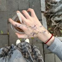 z木棉锦原著