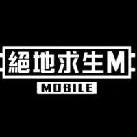 PUBGM