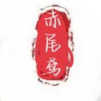 赤尾鸢