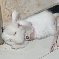 我们之间渐渐有了隔